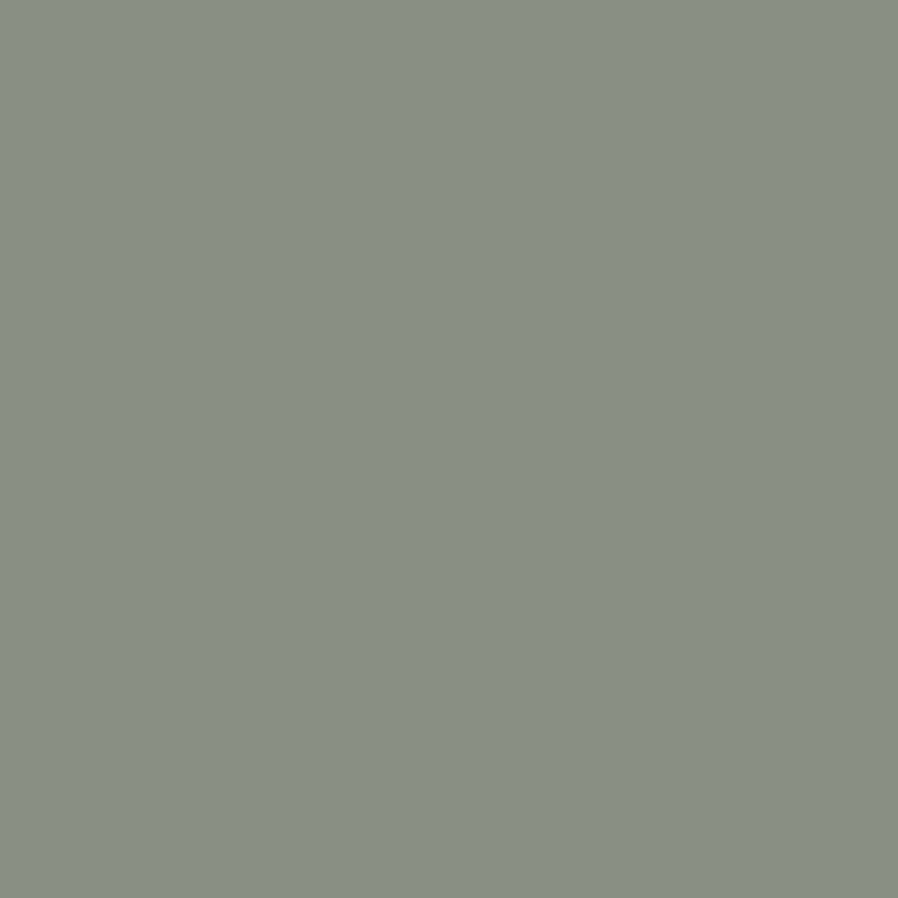 Retail 8 Pack: Carolina Gull (2138-40) 9"x14"