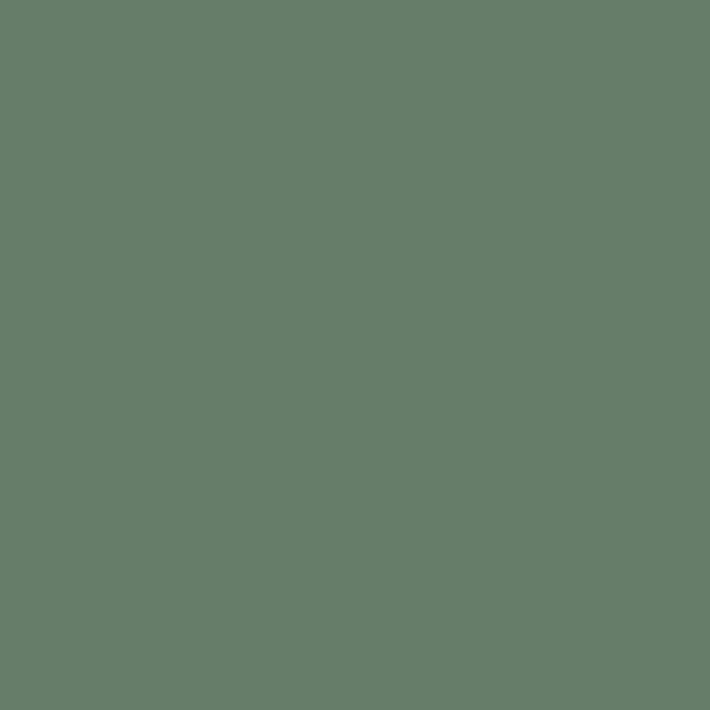 Retail 8 Pack: Webster Green (HC-130) 9"x14"